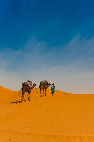 Караван Верблюдами Пустыне Эрг Чебби Пустыня Сахара Недалеко Мерзуги Марокко — стоковое фото