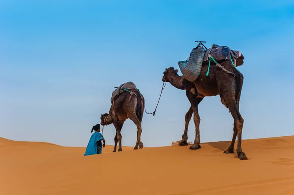 Merzouga 모로코 사하라 사막에서에서 카라반 — 스톡 사진