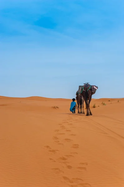 Sahra Çölü Merzouga Fas Yakınındaki Erg African Çölde Deve Karavan — Stok fotoğraf