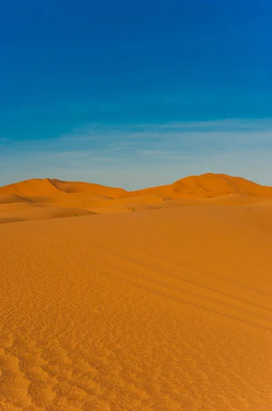 Στους Αμμόλοφους Του Erg Chebbi Κοντά Merzouga Στο Μαρόκο — Φωτογραφία Αρχείου