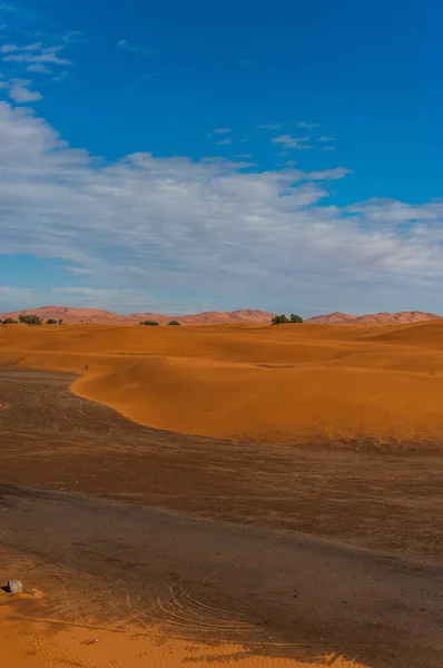 从沙丘到城市梅尔祖卡的景色在摩洛哥 — 图库照片