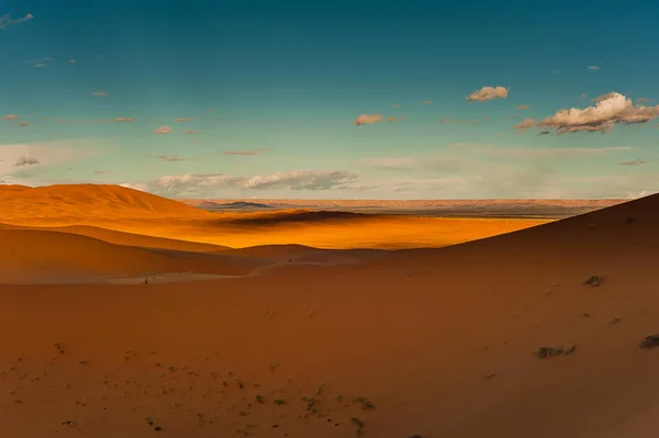 女孩站在沙丘上沙丘和观察在梅尔祖卡摩洛哥的沙漠景观 — 图库照片