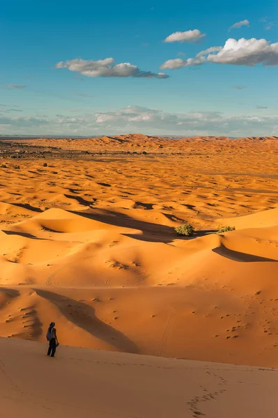 Κορίτσι Στέκεται Στο Στους Αμμόλοφους Erg Chebbi Και Παρατηρεί Έρημο — Φωτογραφία Αρχείου