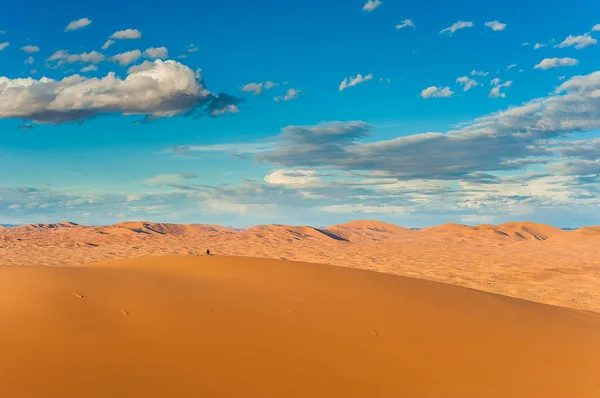 Fille Assise Sur Dune Erg Chebbi Observe Paysage Désert Dans — Photo