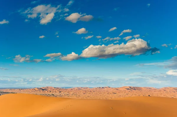 Κορίτσι Που Κάθεται Στο Στους Αμμόλοφους Erg Chebbi Και Παρατηρεί — Φωτογραφία Αρχείου