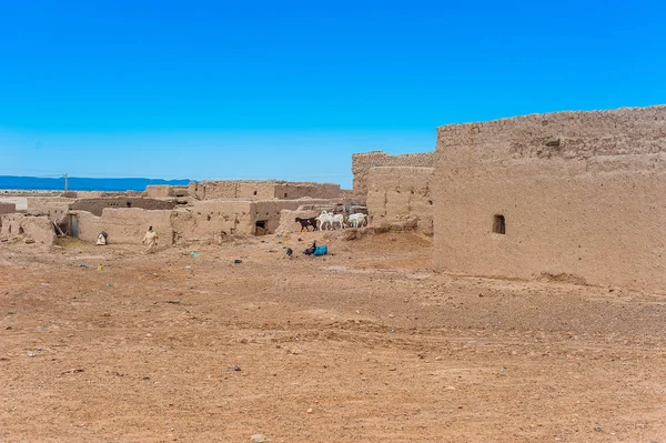 Mujer Pequeña Granja Pequeño Pueblo Cerca Merzouga Marruecos — Foto de Stock
