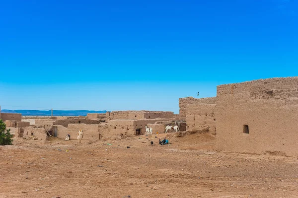 Жінка Маленьку Ферму Маленькому Селі Поблизу Merzouga Марокко — стокове фото
