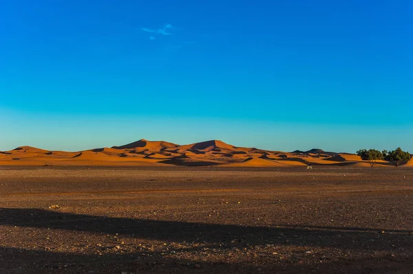 Adam Merzouga, Fas bisiklet üzerinde