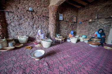 Argan yağı üretim. Argan somun bir taşla sert kabuklu çatlama Berberi bir kadın. Essaouira, Morocco