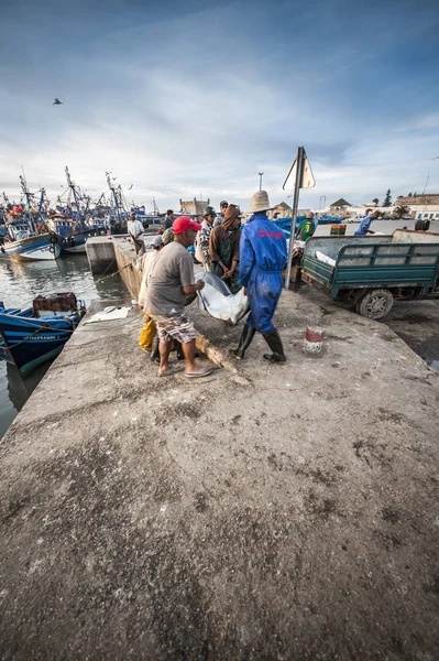 Homem Carregando Tubarão Porto Essaouira Marrocos — Fotografia de Stock