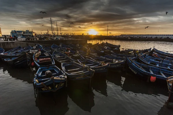 Blue Boats Port Essaouira Morocco — Stock Photo, Image