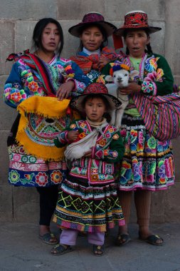 Perulu geleneksel elbiseli ve lamalı aile Cusco, Peru 'da fotoğraf için poz veriyor.