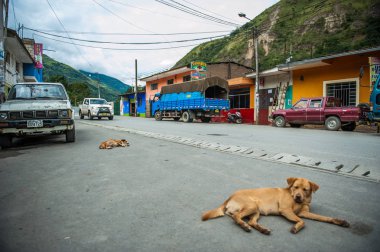 Köpekler bir küçük köy Santa Maria Peru sokakta yatıyor musun.