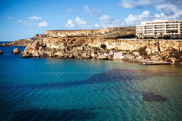 Malta'da altın defne