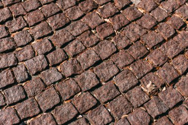 Yaprakları ile kaldırım taşı