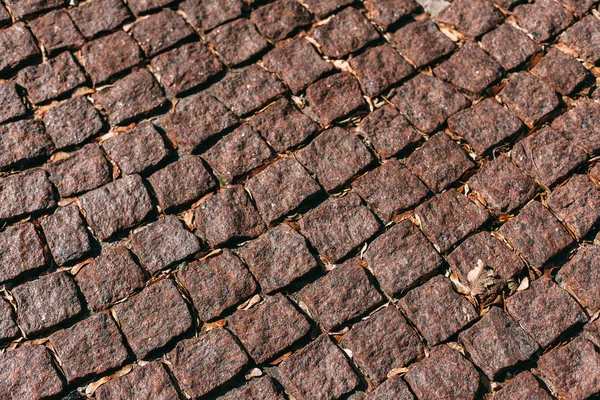 Yaprakları ile kaldırım taşı