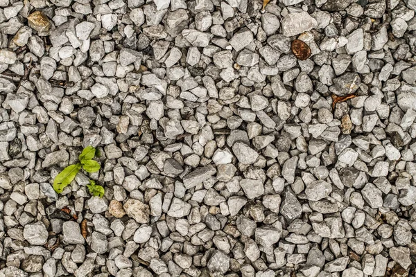 Una Textura Rocosa Sin Costuras Color Gris —  Fotos de Stock