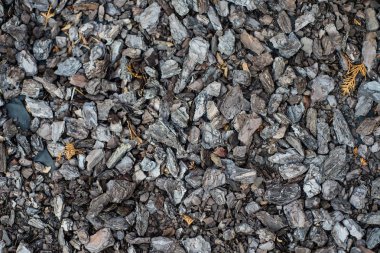 Ağaç kabuğu dekor zemin soğuk renklerde