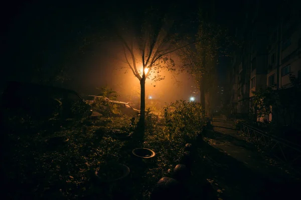 Nebbia Cortile Notturno Con Luce Intensa Sullo Sfondo Foto Umore — Foto Stock