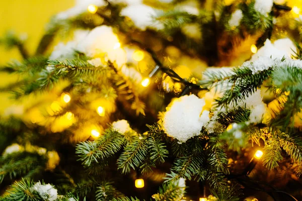 Fir Tree Naalden Close Met Bokeh Achtergrond Kopie Ruimte — Stockfoto