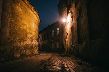 Eski mimari ve kış arka plan ile eski dar gece Vilnius Sokağı