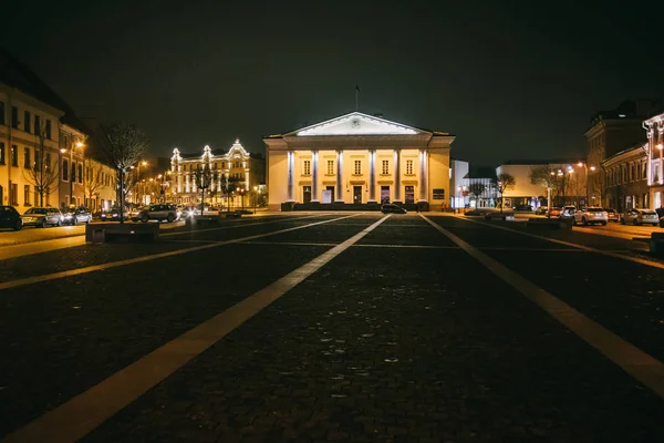 Vilnius Lituania Ayuntamiento Lituano Vilniaus Rotuse Por Noche — Foto de Stock