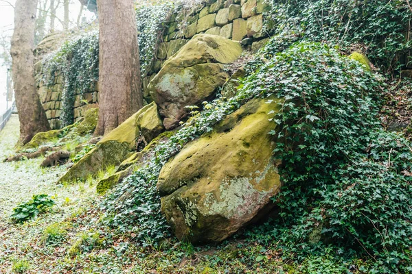 Green moss on stone