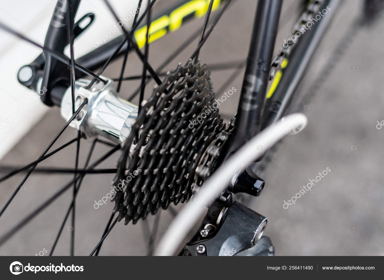 bicycle rear wheel hub