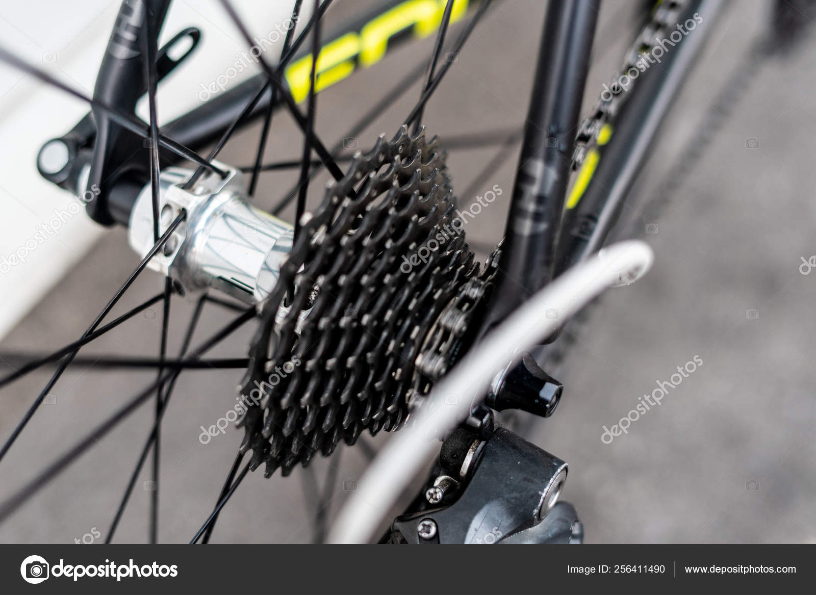road rear wheel