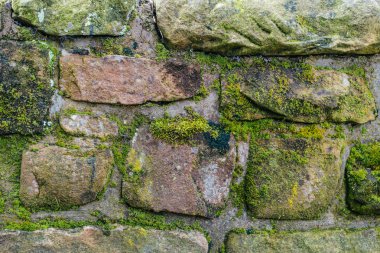 Yeşil yosun ile kırmızı yaşlı tuğla duvar