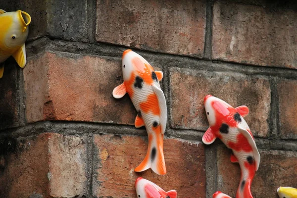 Красочные Рыбки Кои Ставят Статую Кирпичную Стену — стоковое фото