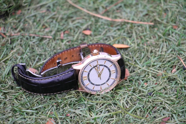 時計は乾いた葉っぱで草の上に横たわっている — ストック写真