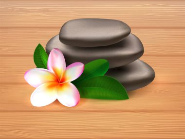 ahşap arka plan üzerinde plumeria çiçek ile spa taşları