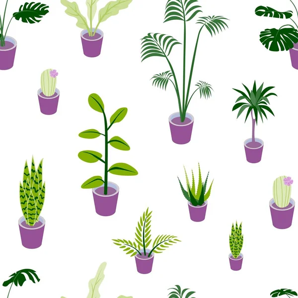 Seamless pattern of potted home plants — Stock Vector