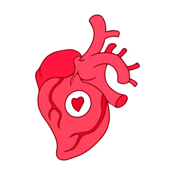 Dibujos animados corazón humano símbolo signo vector ilustración — Vector de stock