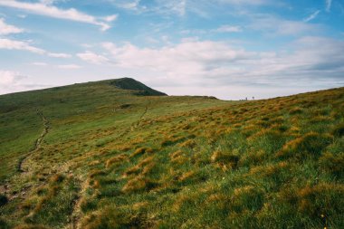 Renkli mouinain aralığında Yeşil çim Ukrayna