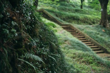 merdiven yolu Gürcü botanik bahçesi içinde