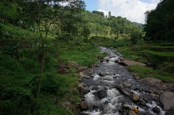 Río Caudal Agua Grande Alargado Que Fluye Continuamente Aguas Arriba —  Fotos de Stock