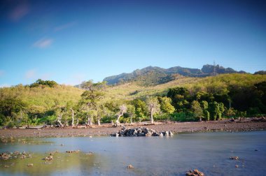 Plajın güzelliği, beyaz kumdan oluşan bir coğrafi formdur ve bir dağ arka planına sahip sahil bölgesinde bulunur..