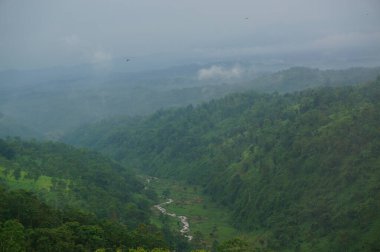 Dağın eteğinin altında birkaç ağaç olan plato bir zamanlar çorak bir yerdi.