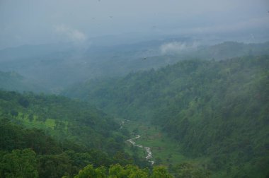 Dağın eteğinin altında birkaç ağaç olan plato bir zamanlar çorak bir yerdi.
