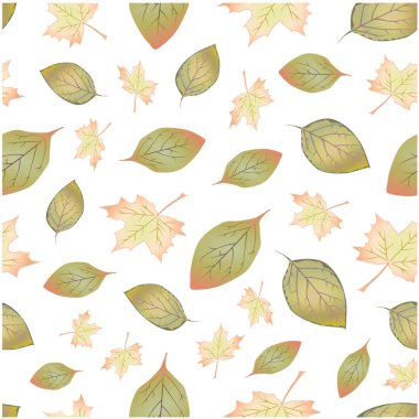 sorunsuz desen akçaağaç ağaçlar bulutlu arka plan doğa duvar kağıtları sonbahar sezonu bırakır