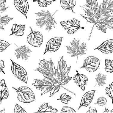 duvar kağıdı grafik illüstrasyon desen sonbahar yaprak şerit