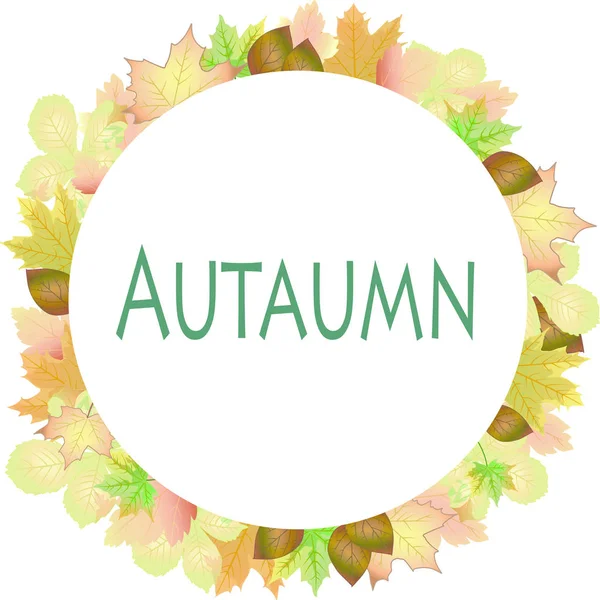 Banner Leaves Colored Autumn Vector Illustration Background Wallpaper — Stock Vector