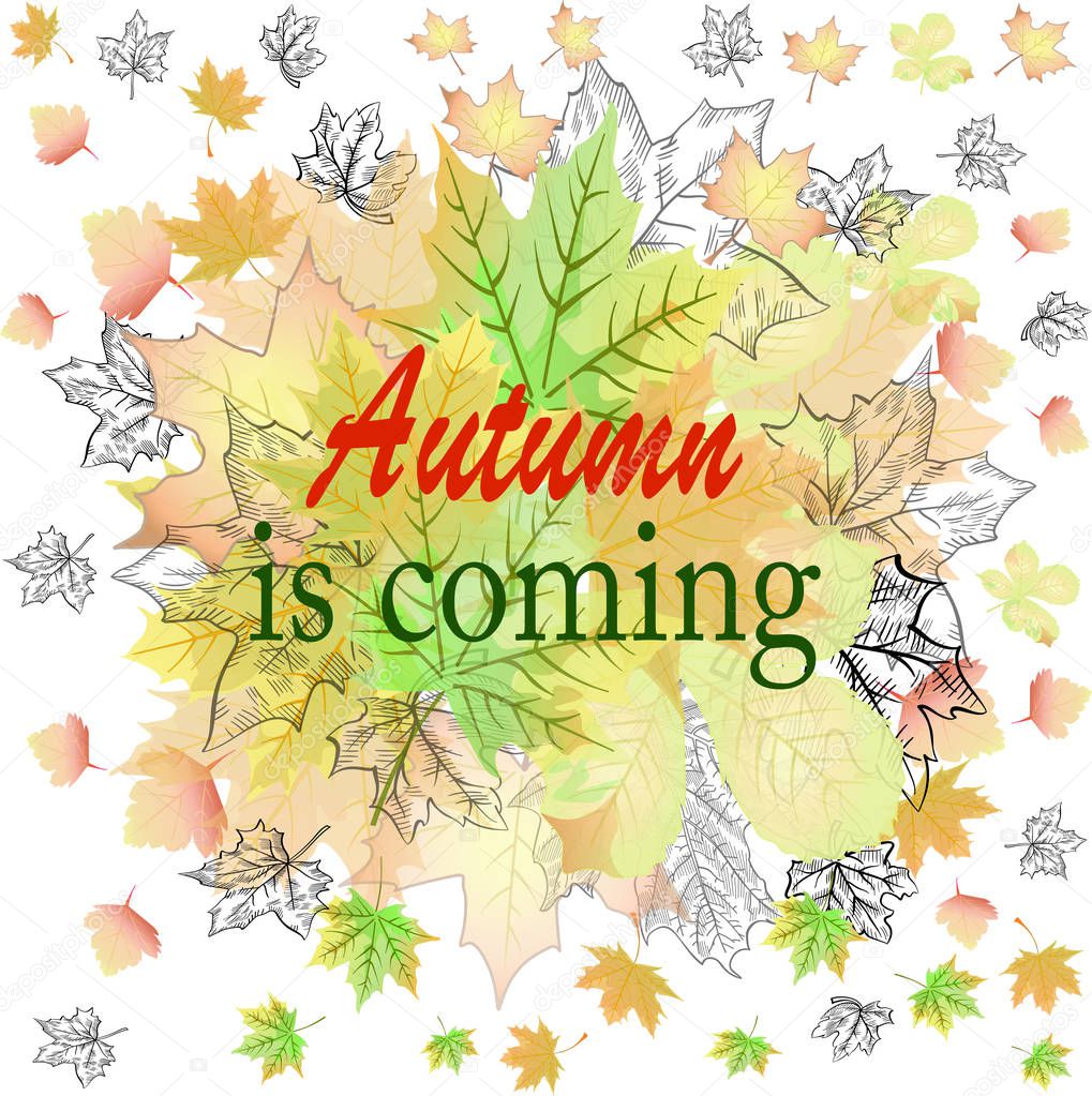 autumn approaching banner color poster background poster illustration