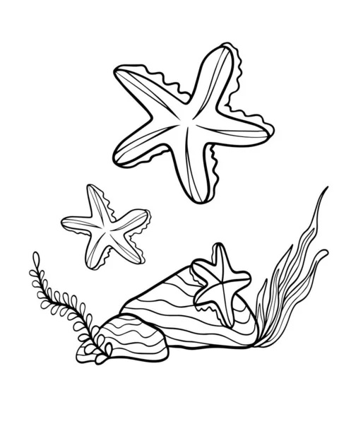Imagenes De Equinodermos Para Colorear - Dibujos De Estrellas De Mar