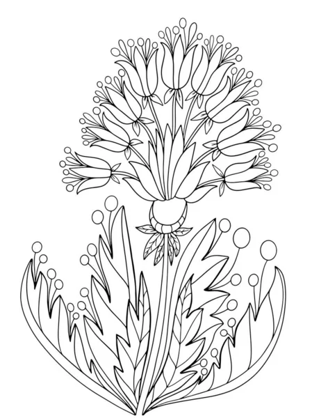 Blume Fee Pflanze Färbung Kontur Isolieren Auf Weißem Hintergrund Illustration — Stockvektor