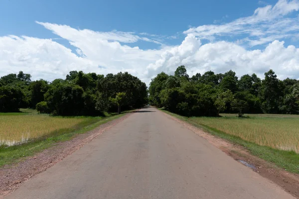 Kamboçya 'nın Kampong Thom kenti yakınlarında pirinç tarlaları olan boş bir yol. Haziran 2018.