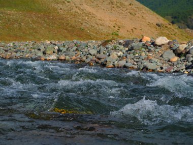 dağ dere, Altay Dağları, Rusya'nın temiz su