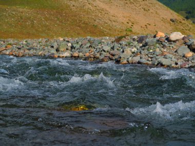 dağ dere, Altay Dağları, Rusya'nın temiz su